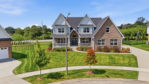 12744 Caruso, Lemont, IL 60439