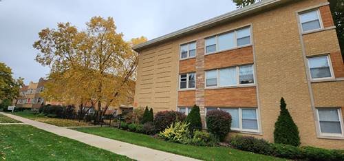 1955 Euclid Unit 208, Berwyn, IL 60402