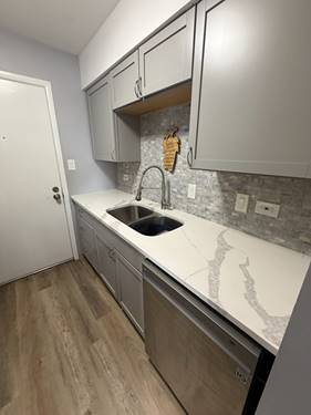 15716 Terrace Unit 3, Oak Forest, IL 60452