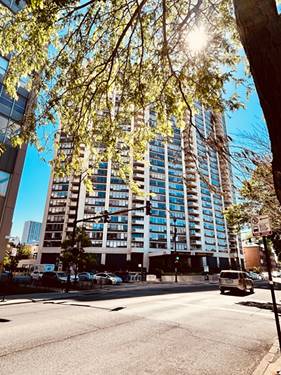 3930 N Pine Grove Unit 2602, Chicago, IL 60613