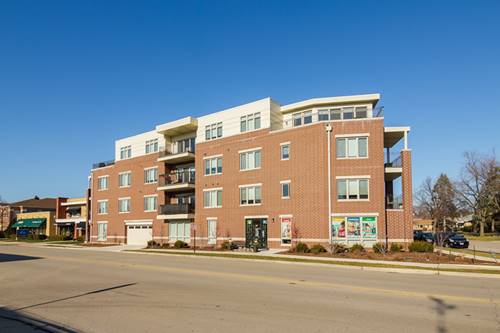 1212 Vine Unit 3F, Park Ridge, IL 60068