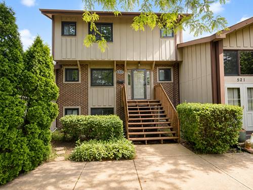 523 Club House, Roselle, IL 60172