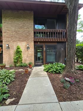 5961 Meadow Unit 161-F, Lisle, IL 60532