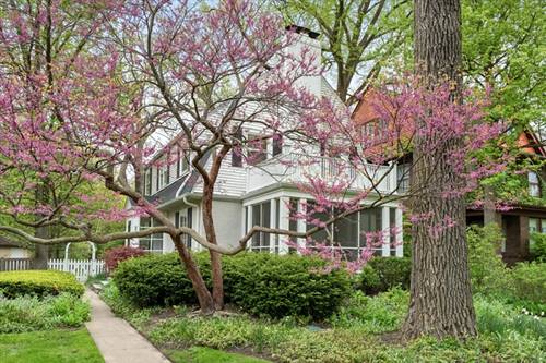 2311 Park, Evanston, IL 60201