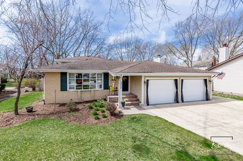 1317 Carol, Naperville, IL 60565