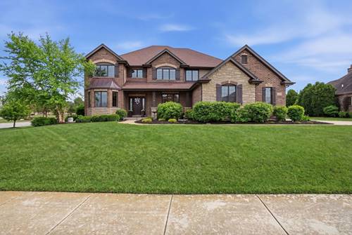 8743 Stone Creek, Frankfort, IL 60423