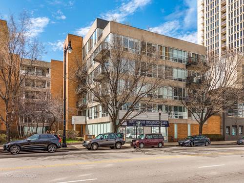 1430 S Michigan Unit PH2, Chicago, IL 60605