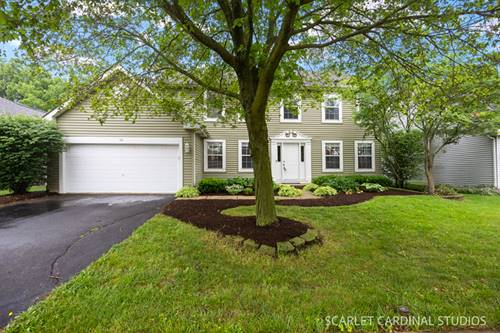 56 Forestview, Aurora, IL 60502