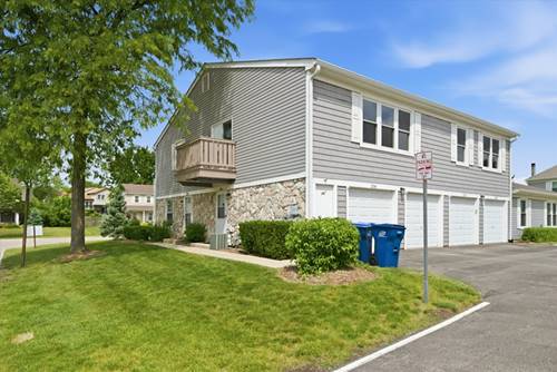 206 Nantucket Unit 206, Schaumburg, IL 60193