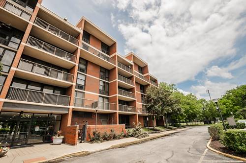 3041 S Michigan Unit 511, Chicago, IL 60616