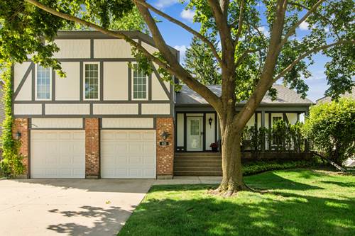 631 Thompson, Buffalo Grove, IL 60089