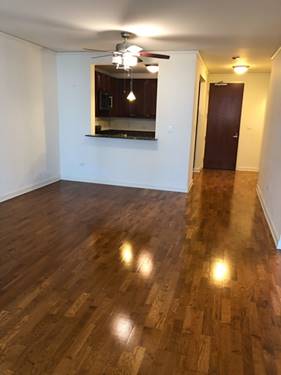 420 E Waterside Unit 807, Chicago, IL 60601