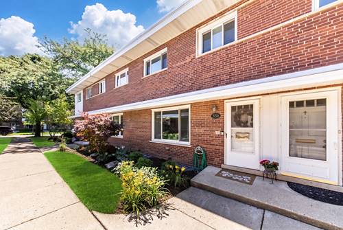 336 S Maple, Mount Prospect, IL 60056