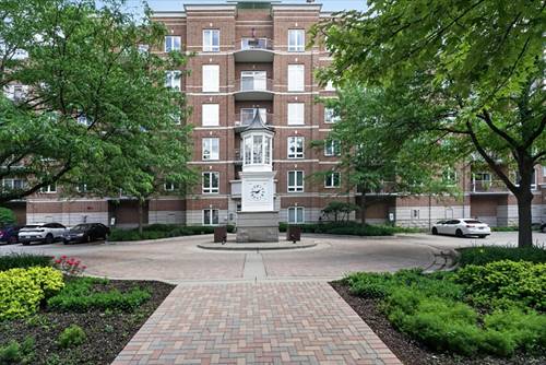 799 Graceland Unit 209, Des Plaines, IL 60016