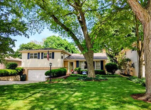 311 N Beverly, Arlington Heights, IL 60004