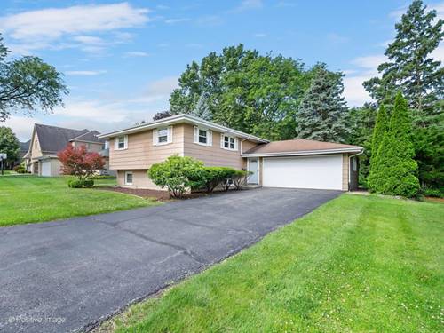 102 Hill, Roselle, IL 60172
