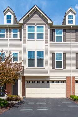 216 N Commerce Unit 216, Aurora, IL 60504