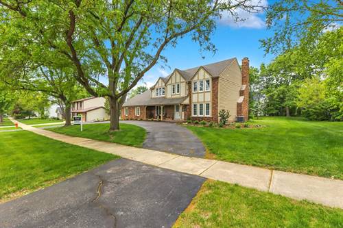 967 W Bauer, Naperville, IL 60563