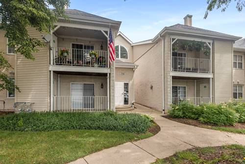 736 N Gary Unit 207, Carol Stream, IL 60188