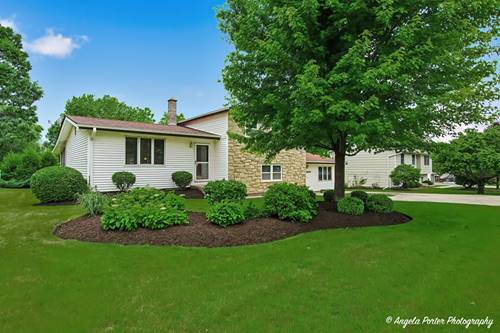 7509 Villa Vista, Spring Grove, IL 60081