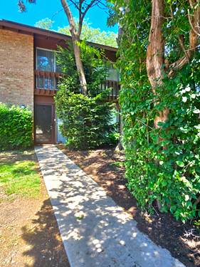 5921 Meadow Unit 156-F, Lisle, IL 60532