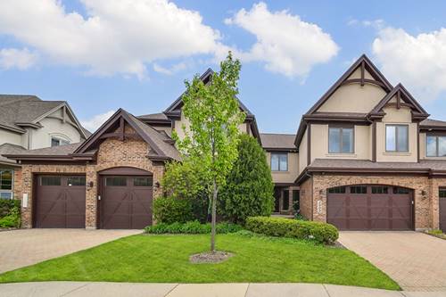 2009 Mackenzie Unit 2009, Wheaton, IL 60187