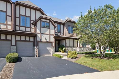 12721 Wild Rye Unit C, Plainfield, IL 60585
