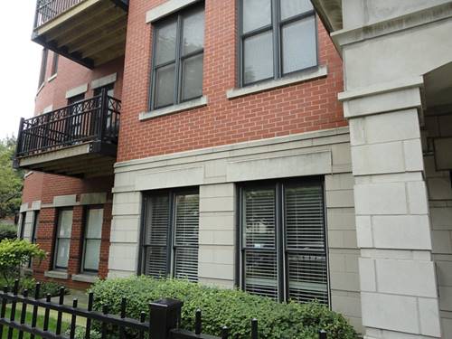 807 W 14th Unit 1B, Chicago, IL 60608