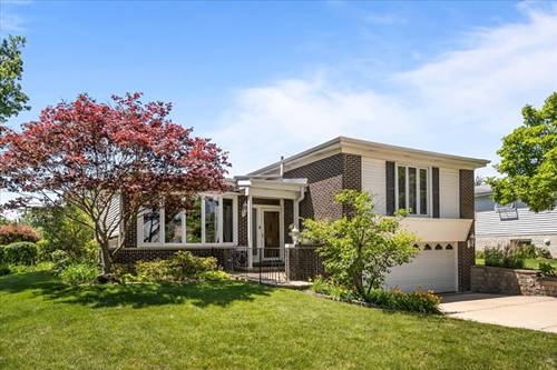7615 Arcadia, Morton Grove, IL 60053