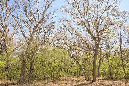 802 Echo (Lot 23), Marengo, IL 60152