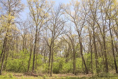 806 Echo (Lot 22), Marengo, IL 60152