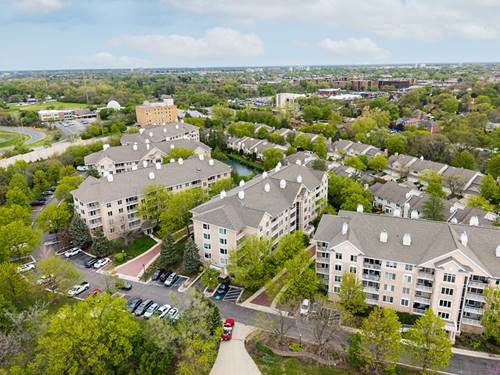 1715 Pavilion Unit 307, Park Ridge, IL 60068