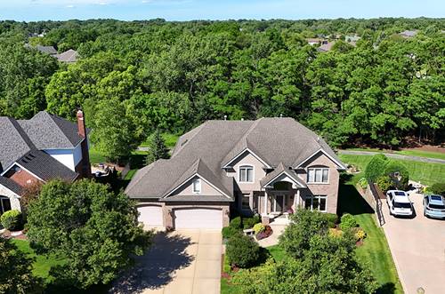 19257 Beaver Creek, Mokena, IL 60448