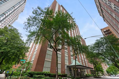 1325 N State Unit 17C, Chicago, IL 60610