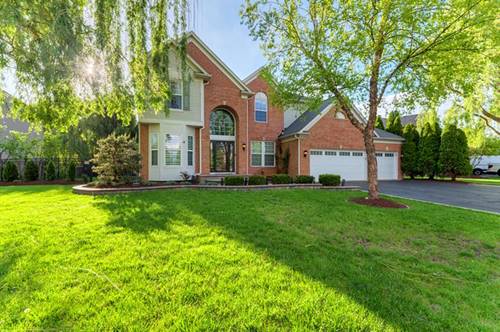 12308 Blue Iris, Plainfield, IL 60585