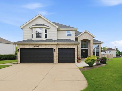 25013 Sandra, Plainfield, IL 60544