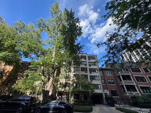 1419 N State Unit 305, Chicago, IL 60610