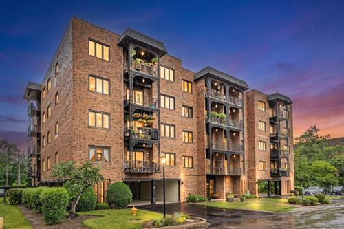 9382 Landings Unit K307, Des Plaines, IL 60016