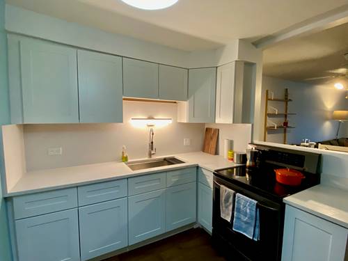 6359 N Ridge Unit 302, Chicago, IL 60660