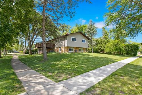 501 Lafayette, Hoffman Estates, IL 60169