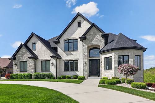 11022 Fawn View, Orland Park, IL 60467