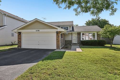 1036 E Meadow Lake, Palatine, IL 60074