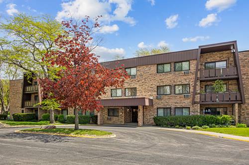 2604 N Windsor Unit 207, Arlington Heights, IL 60004