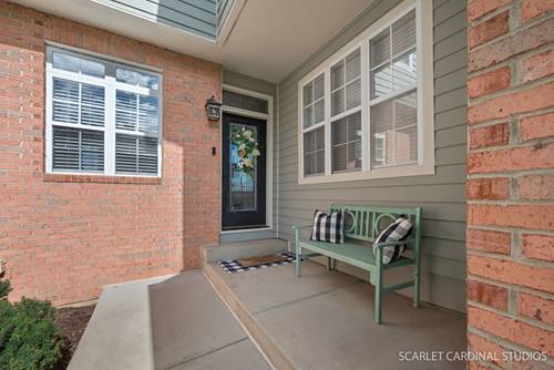 23040 Pilcher, Plainfield, IL 60544