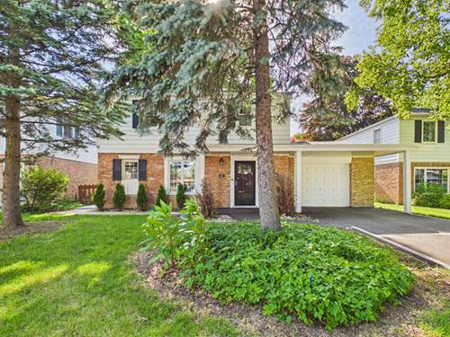 530 S Dryden, Arlington Heights, IL 60005