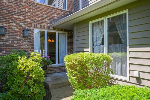 854 Saddlewood Unit 854, Glen Ellyn, IL 60137
