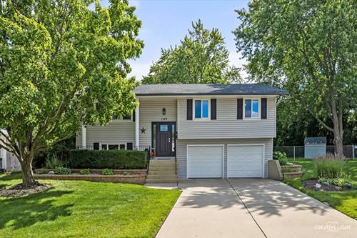 1129 Patricia, Schaumburg, IL 60193