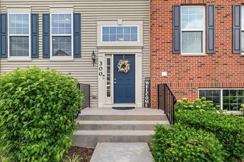 300 Lionel, Grayslake, IL 60030