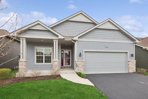 807 Alexandra, Yorkville, IL 60560
