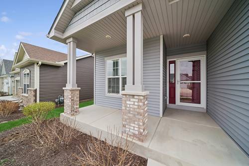 807 Alexandra, Yorkville, IL 60560